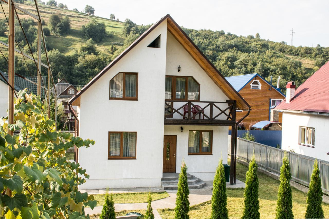 Sunhouse Villa Mizhhirya  Exteriör bild