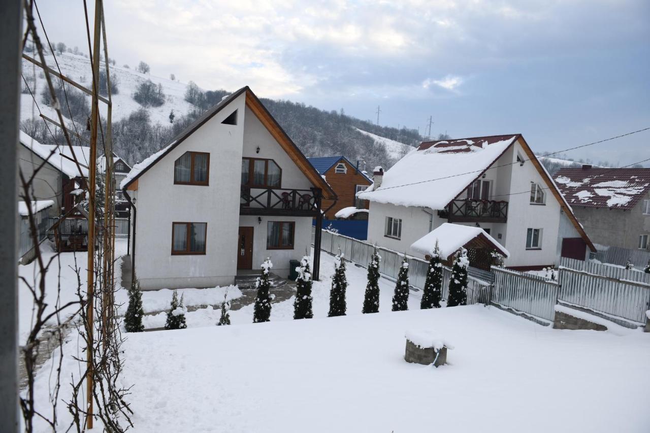 Sunhouse Villa Mizhhirya  Exteriör bild